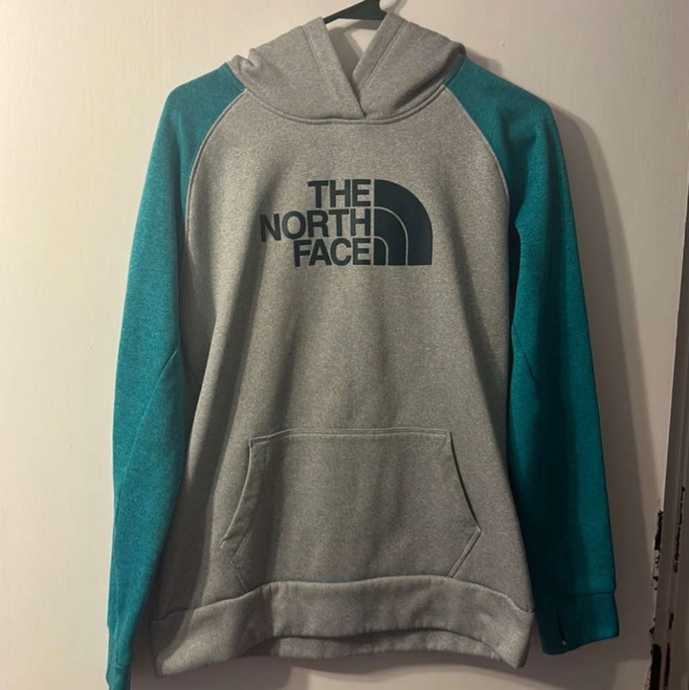 TNF half dome hoodie